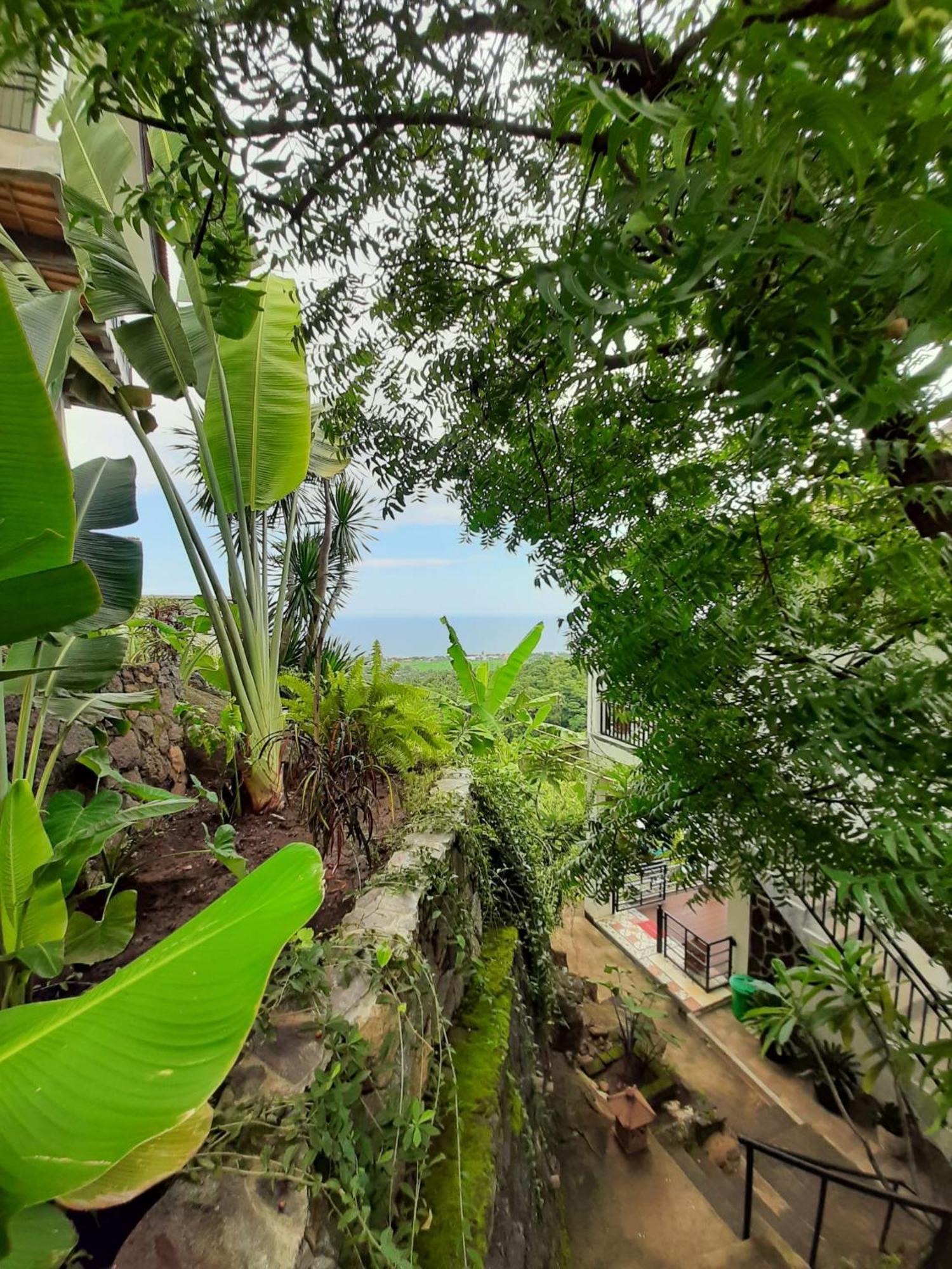 Liri Villa - Ocean, Hills, Valley View Lovina  Exterior photo
